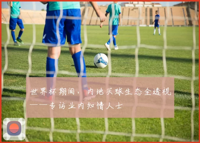 世界杯期间,内地买球生态全透视——专访业内知情人士
