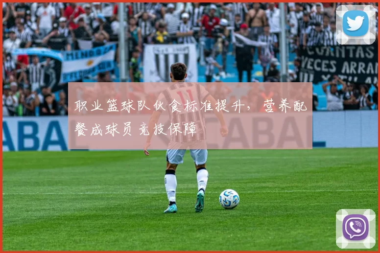 职业篮球队伙食标准提升,营养配餐成球员竞技保障