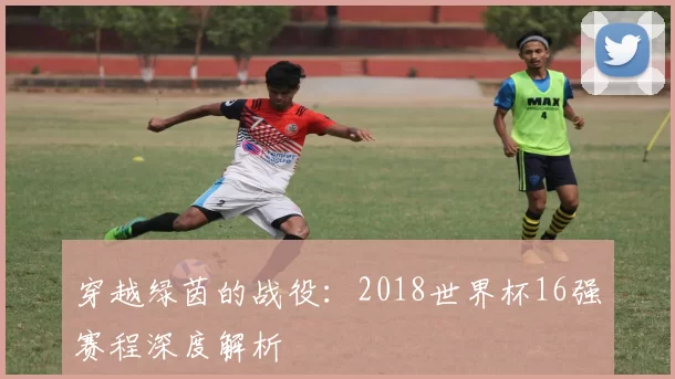 穿越绿茵的战役:2018世界杯16强赛程深度解析