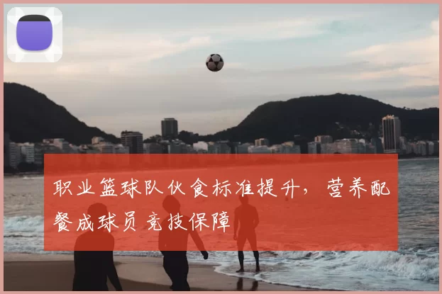 职业篮球队伙食标准提升,营养配餐成球员竞技保障