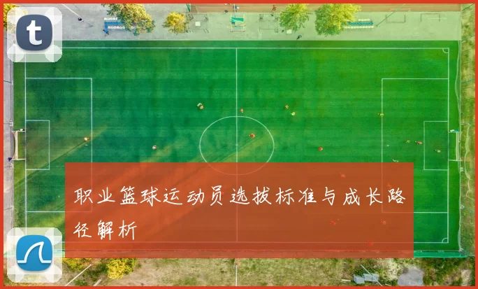 职业篮球运动员选拔标准与成长路径解析