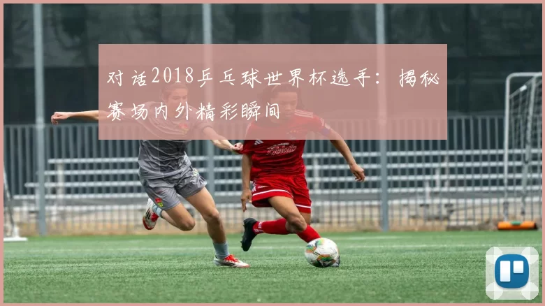 对话2018乒乓球世界杯选手:揭秘赛场内外精彩瞬间