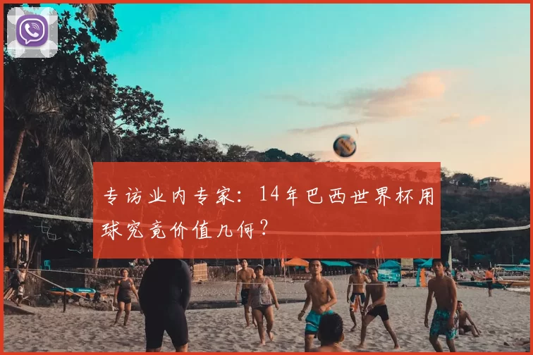 专访业内专家:14年巴西世界杯用球究竟价值几何?