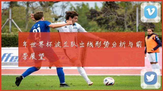 年世界杯波兰队出线形势分析与前景展望