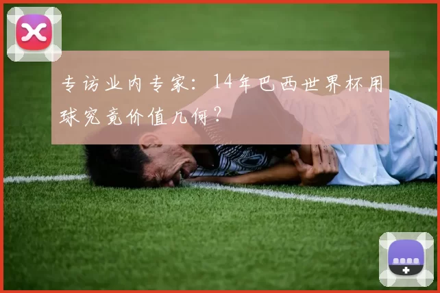 专访业内专家:14年巴西世界杯用球究竟价值几何?