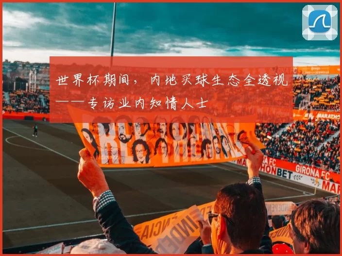 世界杯期间,内地买球生态全透视——专访业内知情人士
