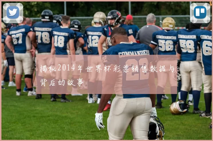 揭秘2014年世界杯彩票销售数据与背后的故事